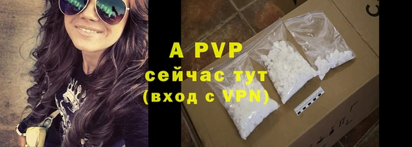 винт Новозыбков