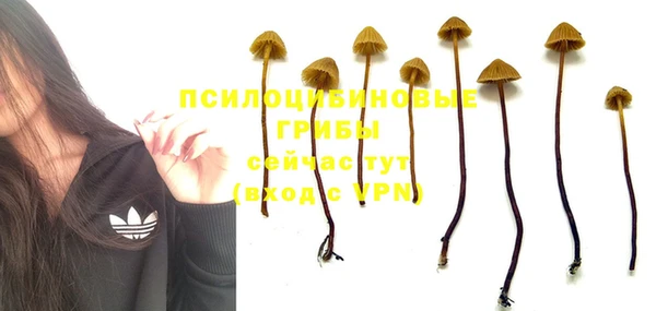 а пвп мука Новодвинск