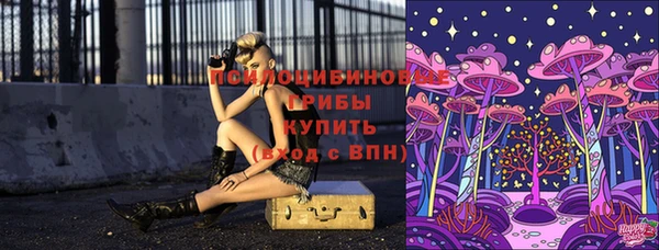первитин Новокубанск