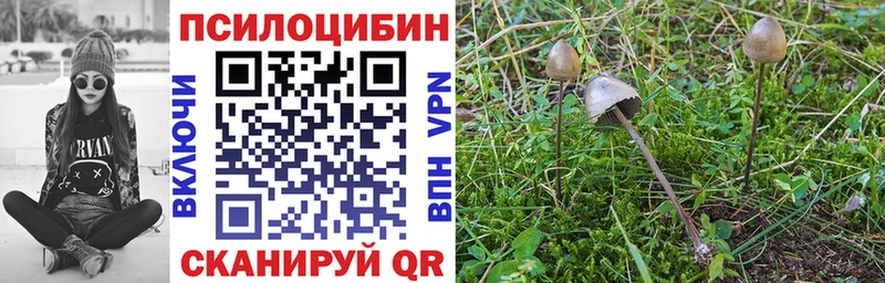 Галлюциногенные грибы Cubensis  Купить  Иваново 